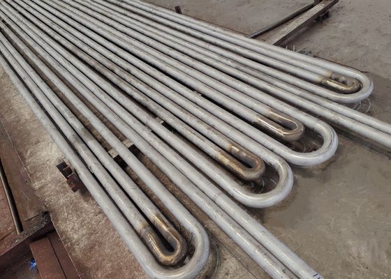Spezialisiertes Design Serpentinrohr für Hochdruckbetrieb in CFB-Kesselsystem