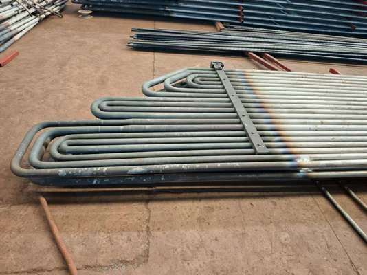 Schlangenförmiges Rohrsystem, kundenspezifische Auslegung für den Hochdruck-CFB-Kesselbetrieb