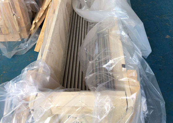 Runde Form-nahtloses rostfreies Rohr ASTM A213 TP304 TP304L 6M minimales GEWICHT 16BWG