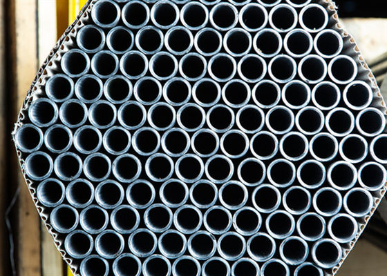 Wärmetauscher-und nahtloses Edelstahl-Rohr des Kessel-600mm