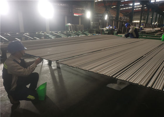Nahtloses rostfreies Rohr TP317 Ods 6mm ASTM 269