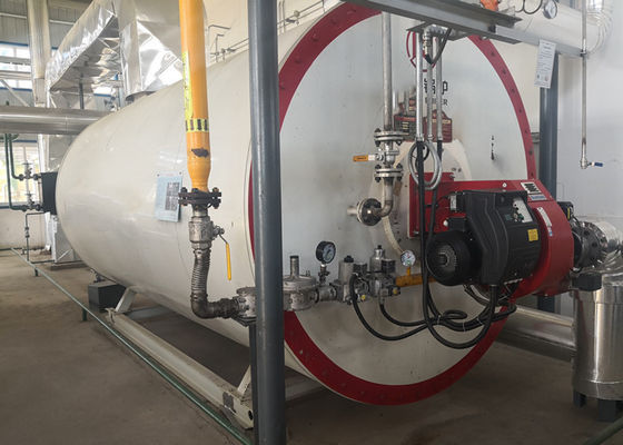 Organischer Dampfkessel des Dieselkraftstoff-0.7MW mit hohem Sicherheits-Niveau