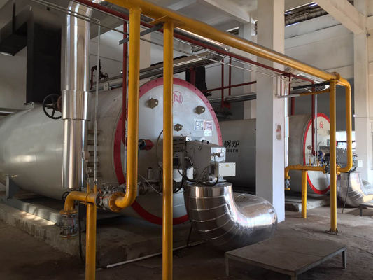 Wärmeträger-Kessel AISI Standard-3000KW/H 321H organischer